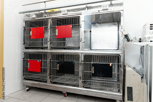 Iron cages for animals in the veterinary clinic photo