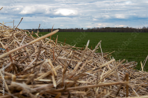 Tranquil landscape overlooking the grass field with hay pile in the foreground