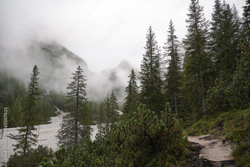 Wanderung Innerfeldtal, Forcella del Lago / Birkenkofel (Croda dei Baranci)