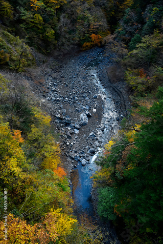 Autumn red maple on the water surface in Japan