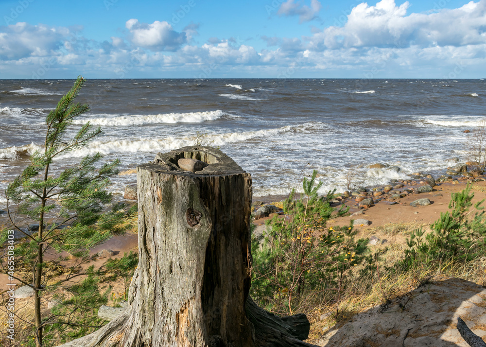 seascape with sea waves crashing on the shore and exploding, beautiful blue skies and white clouds over the sea, Vidzeme rocky seashore, Salacgriva rural area, Latvia