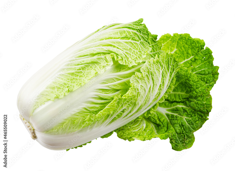 Napa cabbage or chinese cabbage isolated on white background. - obrazy, fototapety, plakaty 