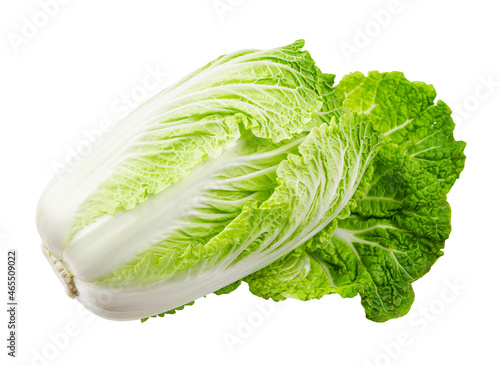Slika na platnu Napa cabbage or chinese cabbage isolated on white background.