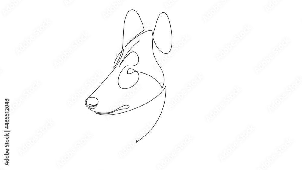 Self drawing simple animation of single continuous one line drawing Rough Collie dog. Bernhardiner Hund head drawing by hand, black lines on a white background. The concept of pets, veterinary Self drawing simple animation of single continuous one line drawing Rough Collie dog. Bernhardiner Hund head drawing by hand, black lines on a white background. The concept of pets, veterinary