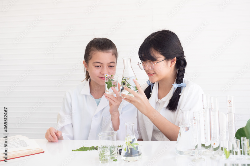 Two children botanist studying plant and doing botany science researchใ Educational concept. Early development of children.
