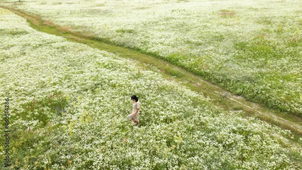 Drone aerial view of woman in dress walking in flower blooming meadow, in countryside, in the field on summer day in meadow, feel the nature, relax, alone travel. Slow motion. Drone aerial view of woman in dress walking in flower blooming meadow, in countryside, in the field on summer day in meadow, feel the nature, relax, alone travel. Slow motion.