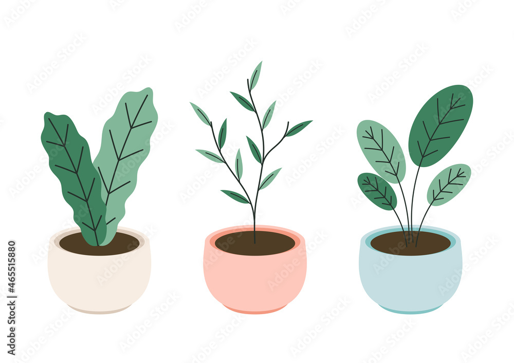 Plants in pot vector. Plants in pot icon vector on white background. Plants in pot vector. Plants in pot icon vector on white background.