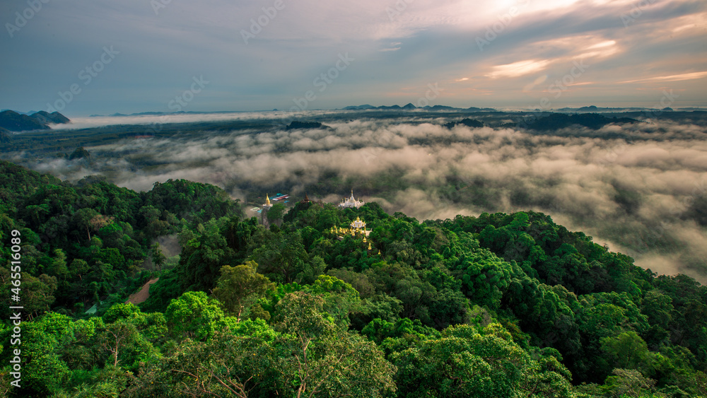 Natural blurred background of fog scattered among trees in the morning, with soft sunlight from the sun, seasonal beauty.