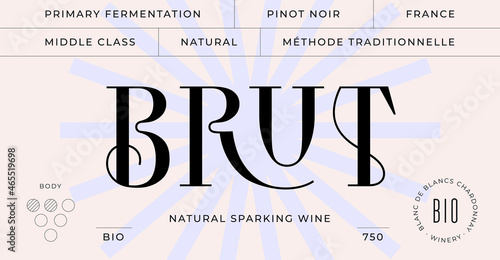 Minimal Label. Set of modern wine tag, label for brand, logo, sticker winery. Template design minimal label, tag or card with text modern font Brut Wine. Typographic wine tag. Vector Illustration