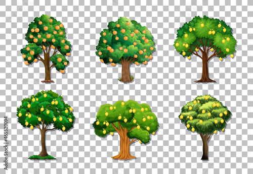 Set of variety fruit trees on transparent background