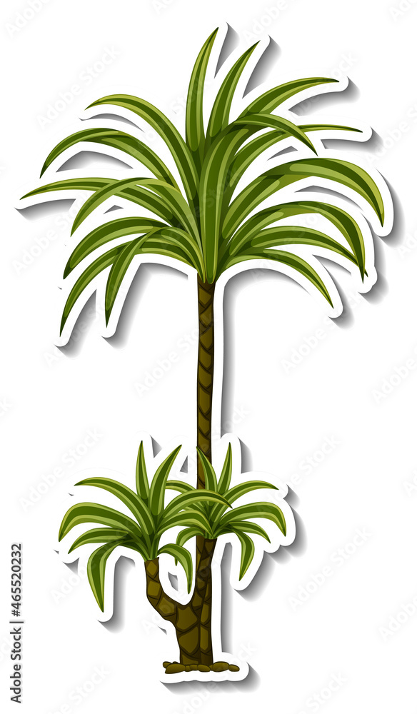 Tropical tree sticker on white background