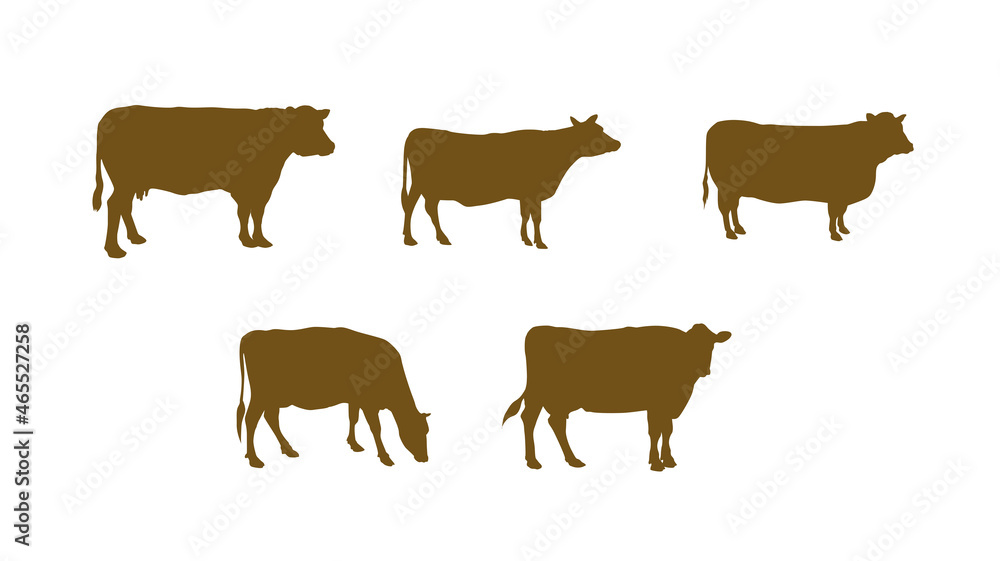 Cow silhouettes set in different poses, positions. Basic Icon, symbol vector illustration isolated on white background.