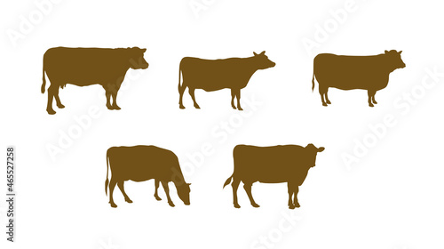 Cow silhouettes set in different poses, positions. Basic Icon, symbol vector illustration isolated on white background.