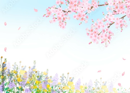 美しく華やかな桜の花と花びら舞い散る春の爽やか青空フレーム背景ベクター素材イラスト © Merci