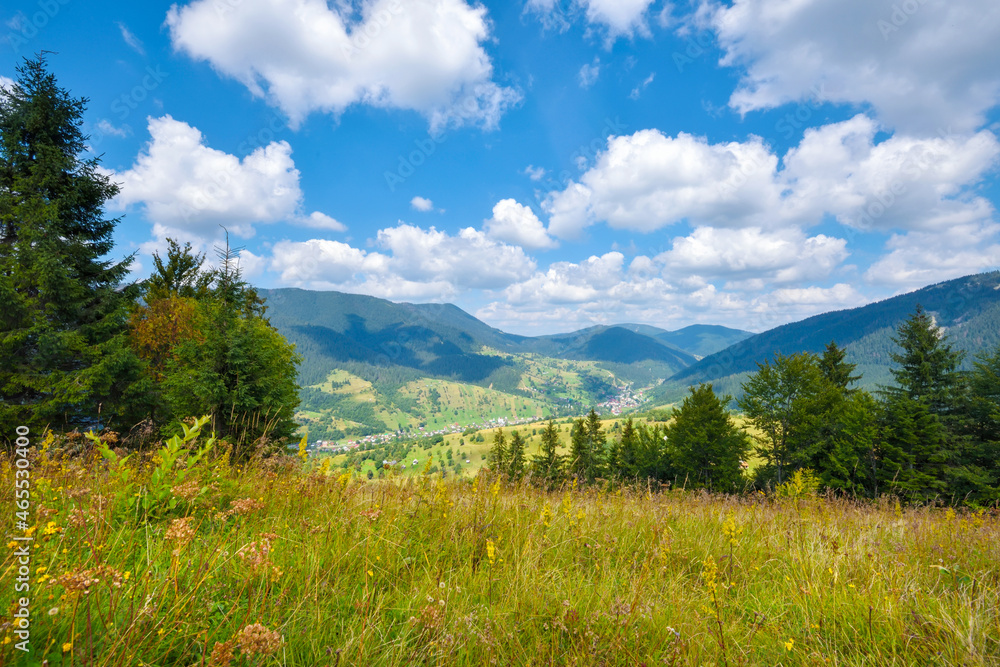 Beautiful mountain landscape with colorful herbs. Carpathian, Ukraine, Europe