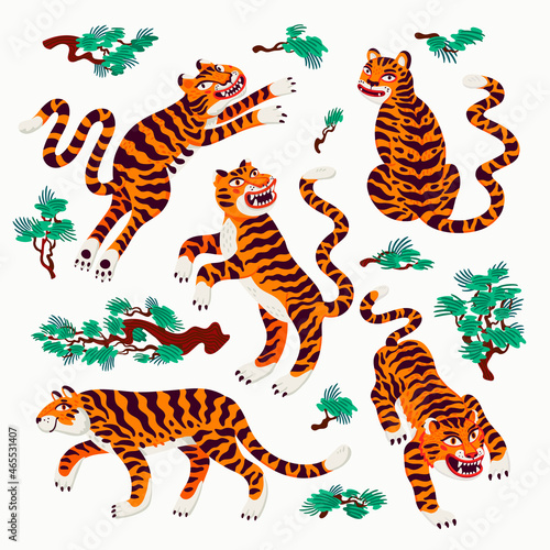 Tiger vector set, tigers in various poses and japanese pine branches in cartoon asian style. Organic flat style vector illustration.