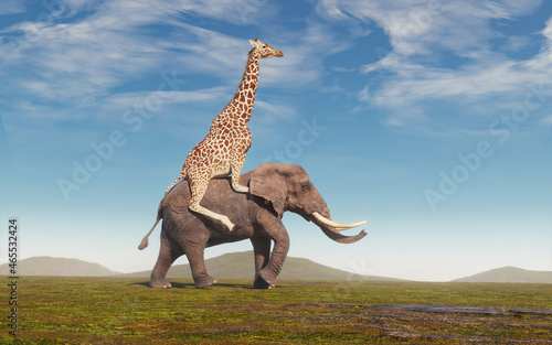Giraffe riding an elephant on field. F