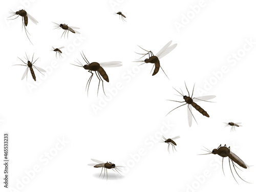 Isolated mosquito white background. Realistic dengue mosquito in vector illustration. Design of graphic source for healthcare of fever that mosquito is transmitter © SERHII