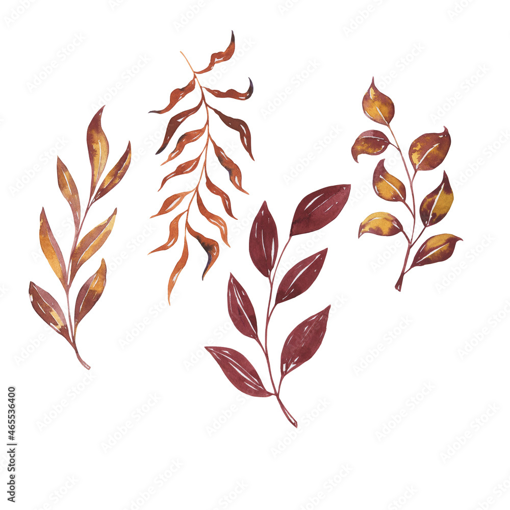 Set of autumn brown leaves. Hand drawn watercolor illustration.