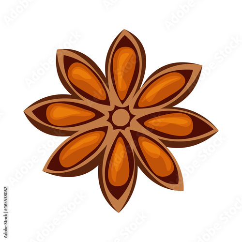 Anise star spice for cooking. Badian seasoning isolated on white background. Vector object illustration