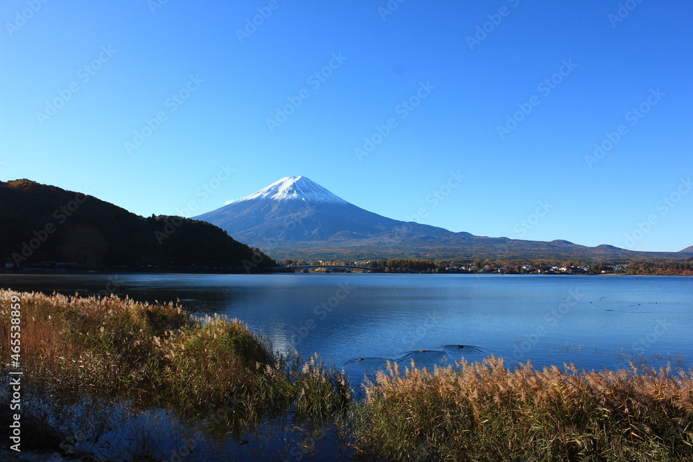 秋の河口湖と富士山
