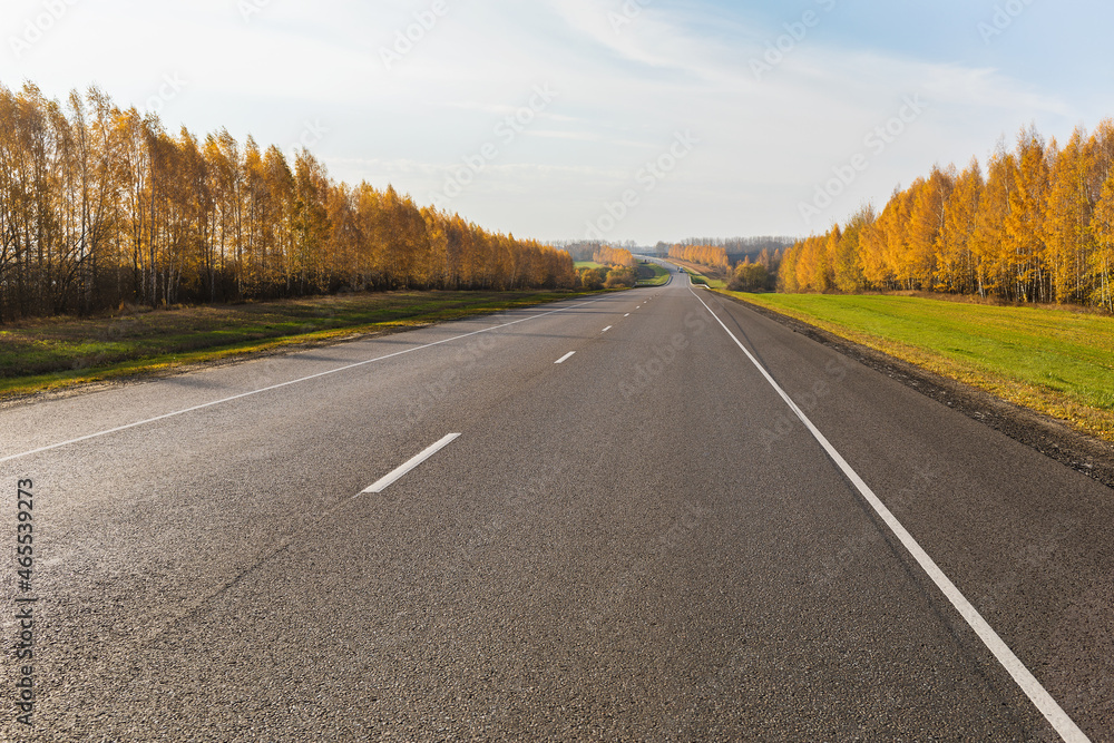Asphalt road extending beyond the horizon, rural landscape in autumn sunny weather, expressway