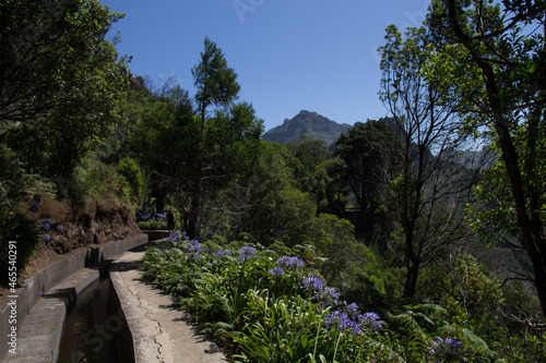 Levada in Madeira, water in a small canal and sunny weather