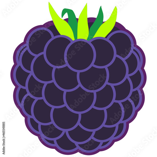 Bordered blackberry fruit SVG vector graphic with purple and damson drupelets and green leaves isolated on white.  Suitable for use with digital cutting software.