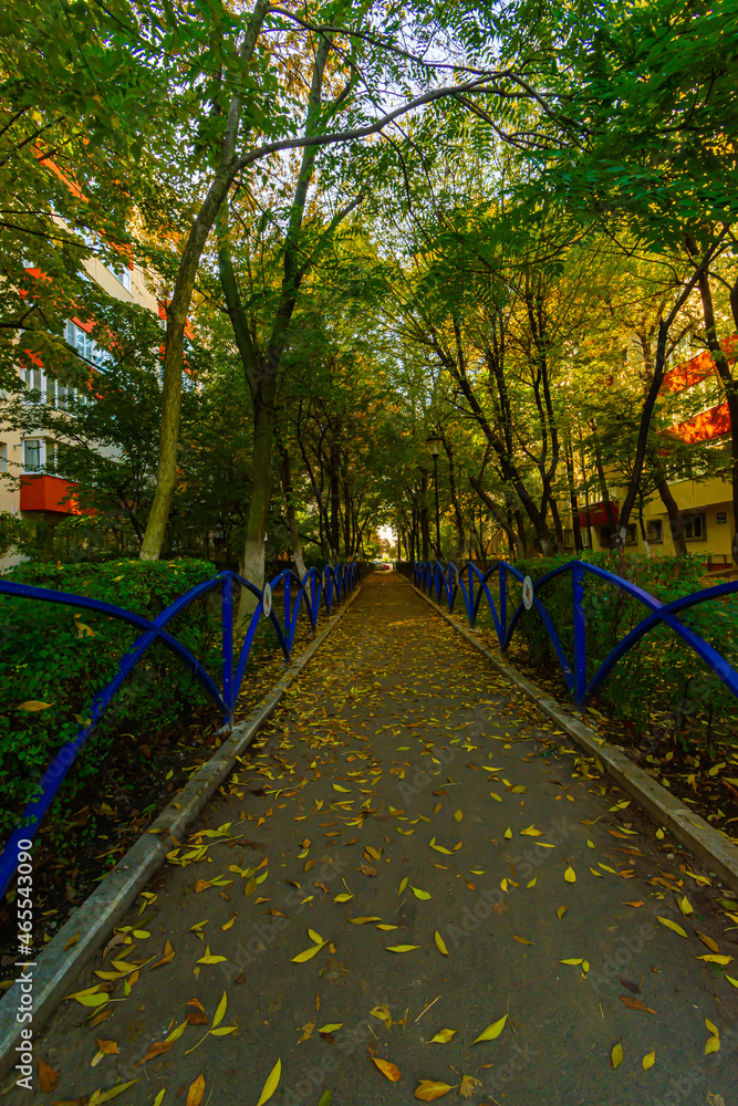 The alley between the blocks in autumn