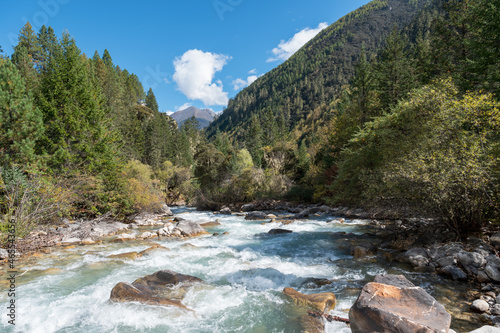 Swift river in the forest © chendongshan