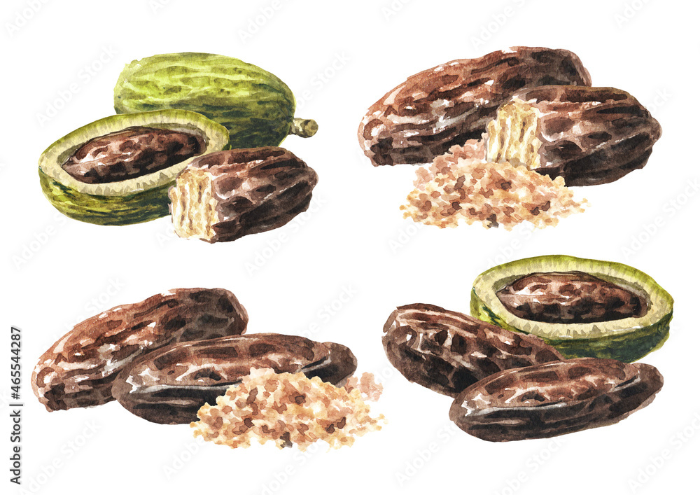 Fragrant aroma tonka beans, Fruits and seed set. Watercolor hand drawn illustration isolated on white background Fragrant aroma tonka beans, Fruits and seed set. Watercolor hand drawn illustration isolated on white background