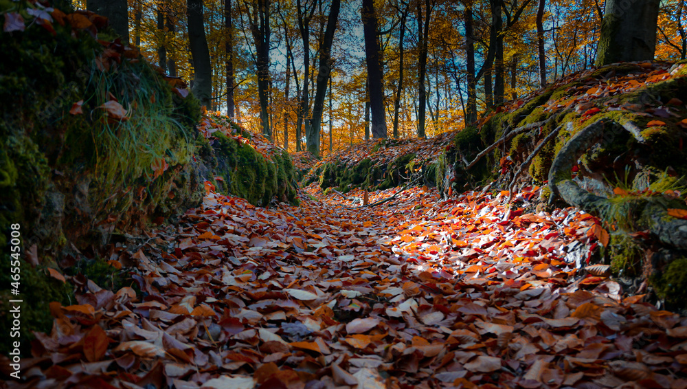 Herbstspaziergang auf Wolin Herbstspaziergang auf Wolin