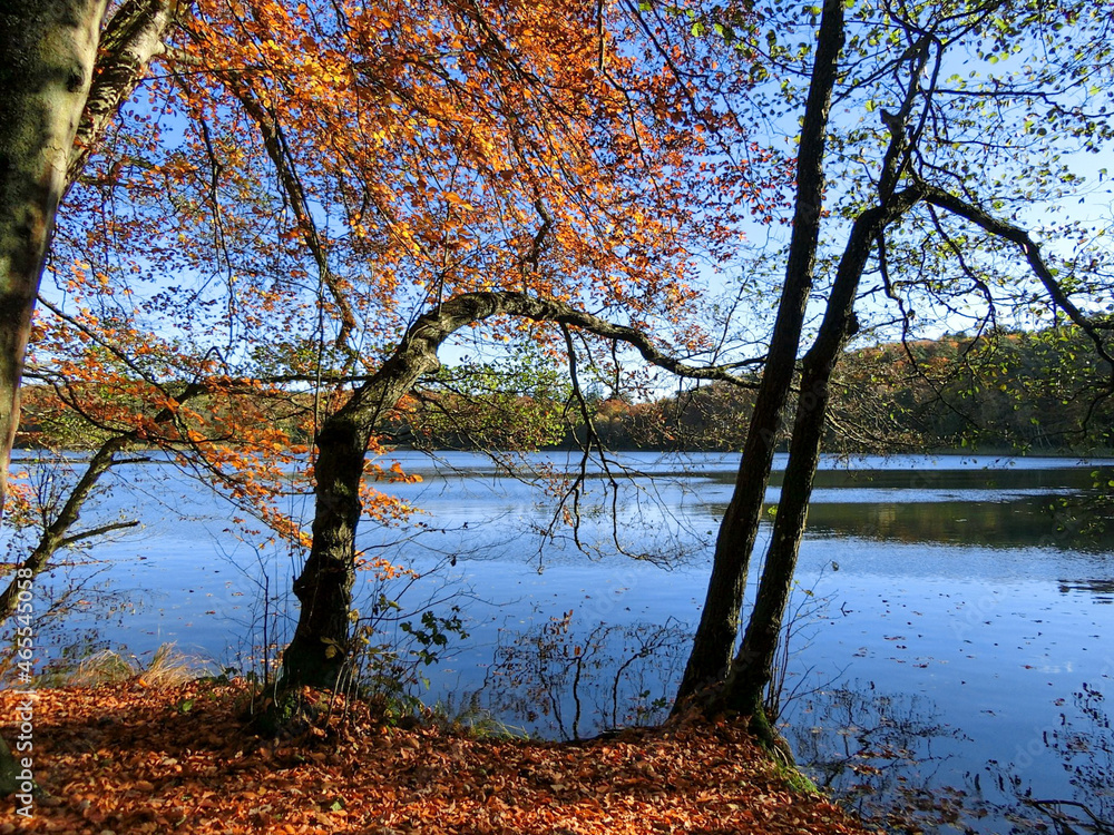 Obraz premium Hinerland Insel Wolin