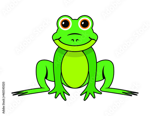 cartoon frog, green color, vector illustration 