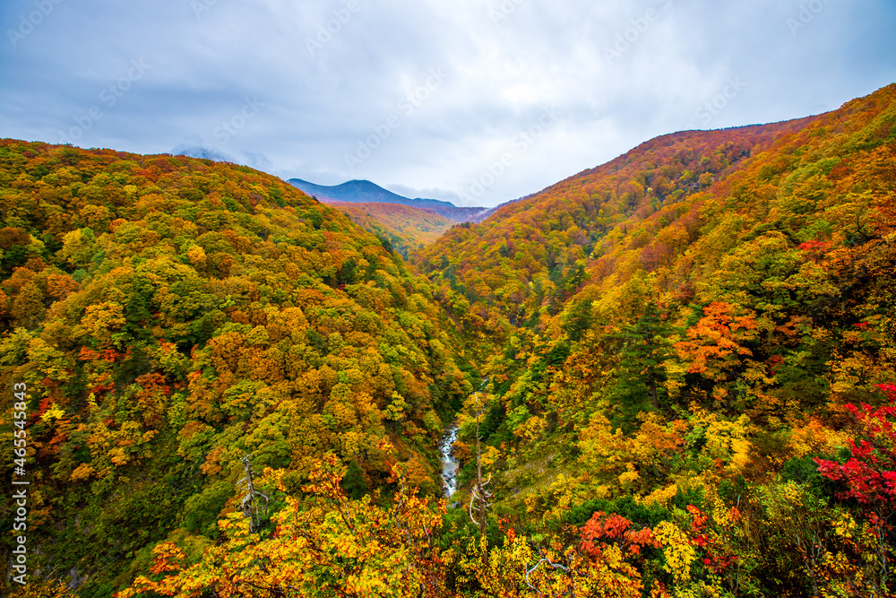 青森県 城ヶ倉大橋の紅葉 青森県 城ヶ倉大橋の紅葉