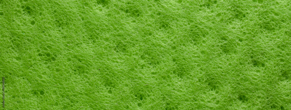 Green fiber sponge pattern texture banner, green abstract surface close-up background Green fiber sponge pattern texture banner, green abstract surface close-up background