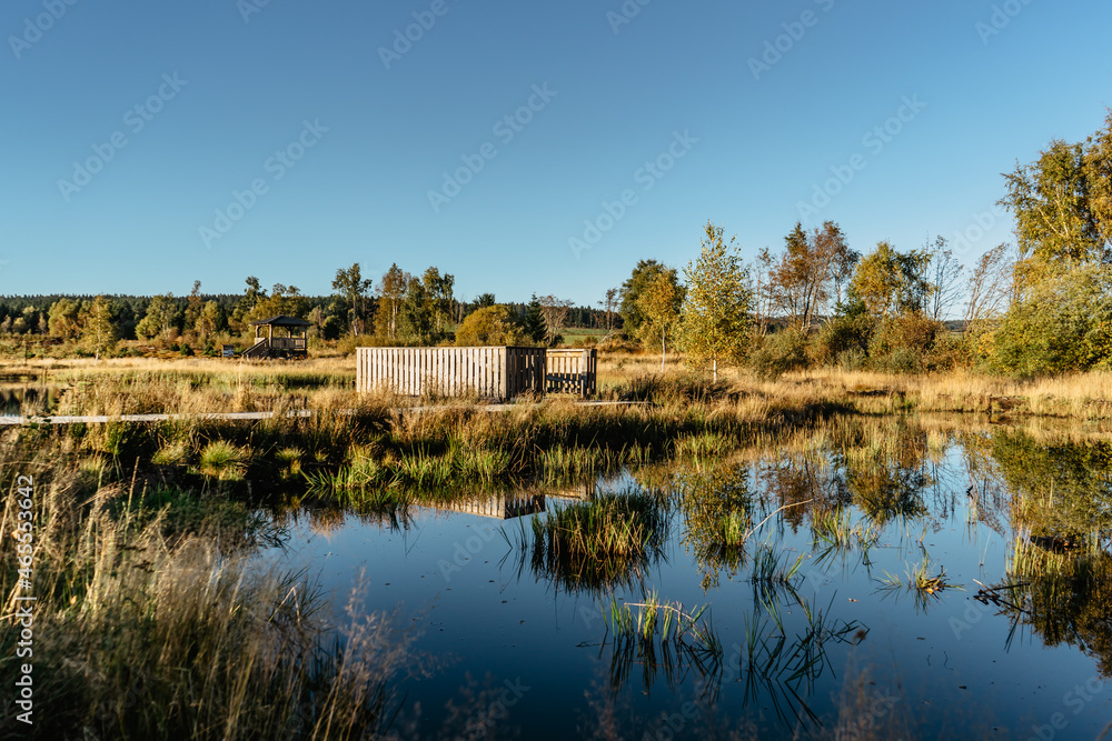 Fototapeta premium Peat bog near Pernink village in Krusne hory,Ore mountains,Czech Republic.Protected nature reserve.Colorful autumn landscape.Shot of fresh fall nature with water.Bog wetlands.Shallow basin.
