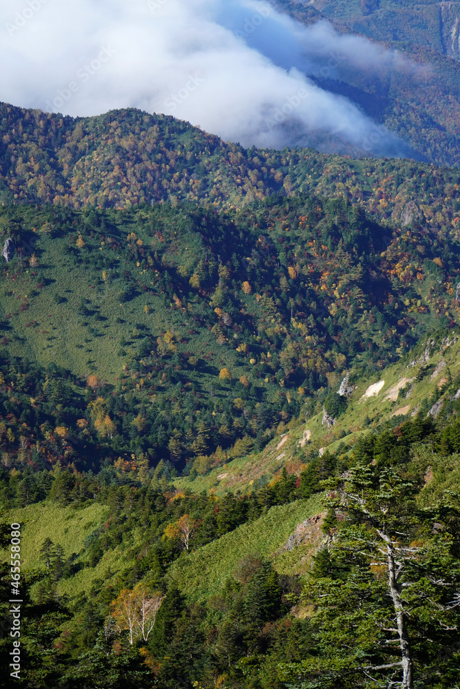 Fototapeta premium 秋の志賀高原