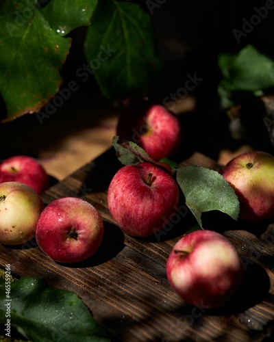 apples on the table in the garden