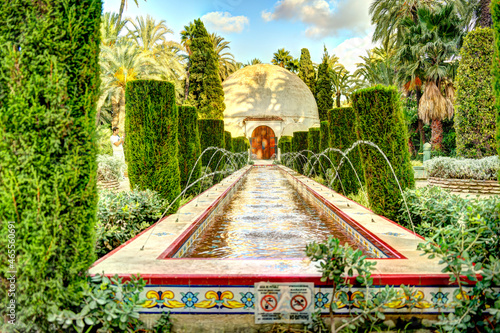 Palmeral of Elche, Spain, HDR Image photo
