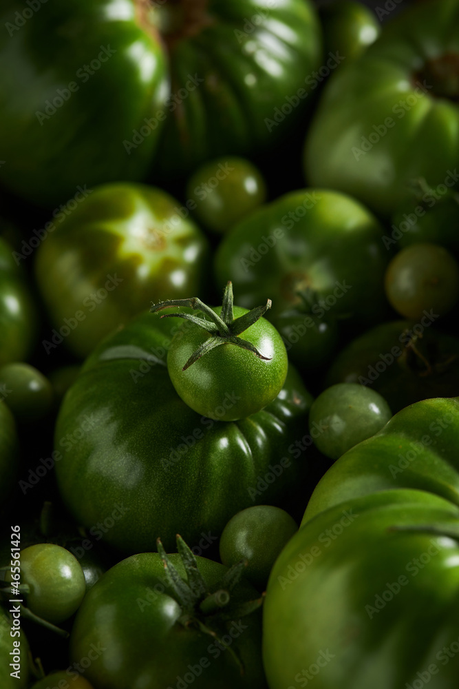 Cherry tomatoes placed on pile of green vegetables Cherry tomatoes placed on pile of green vegetables