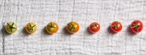 Row of cherry tomatoes from unripe to ripe
