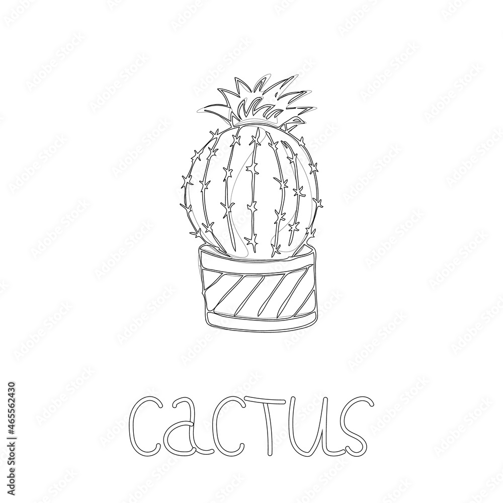 Cactus in lines. Home plant in a pot. Cactus tree. Hand-drawn sketch on white background. Black and white vector illustration, eps