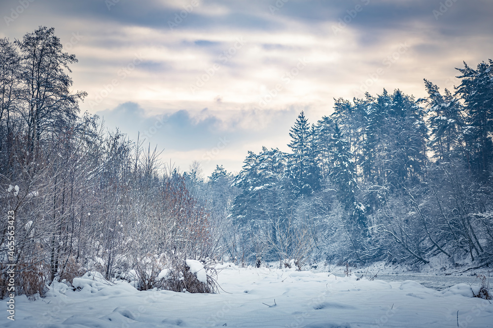 Dreamy winter view in the woods. Romantic sky, cold January morning, forest covered in snow. Lithuanian seasons. Selective focus on the details, blurred background.