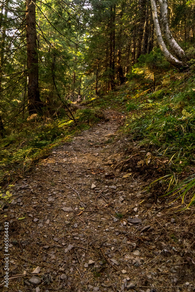Obraz premium Autumn in Carpathians 