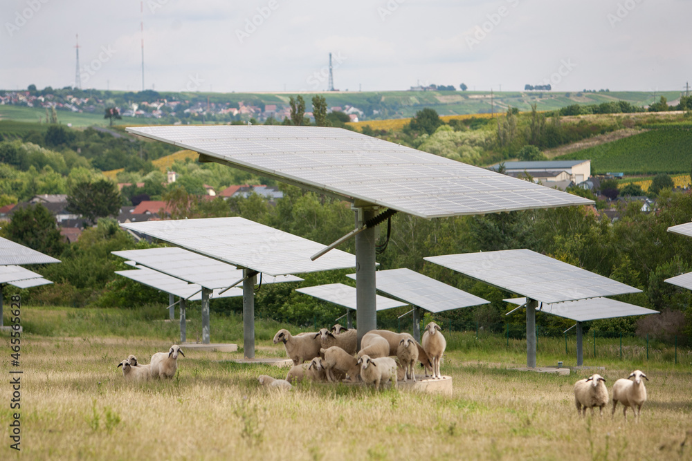 Obraz premium Solorenergie