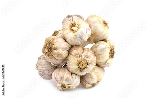 The bunch of fresh white garlic