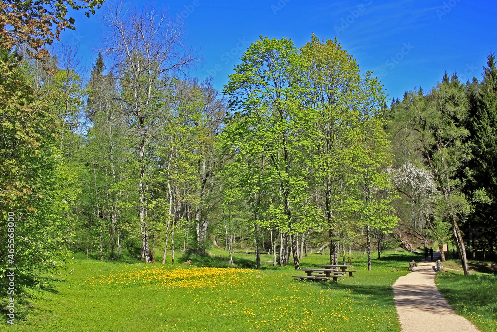 Spring landscape