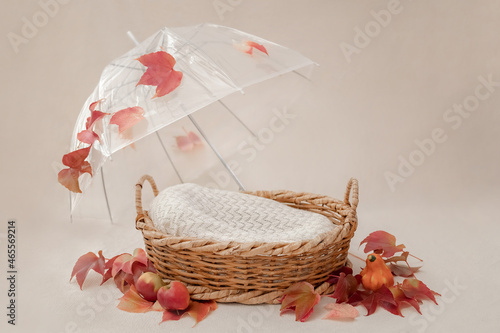 basket for baby decorated with umbrella and autumn