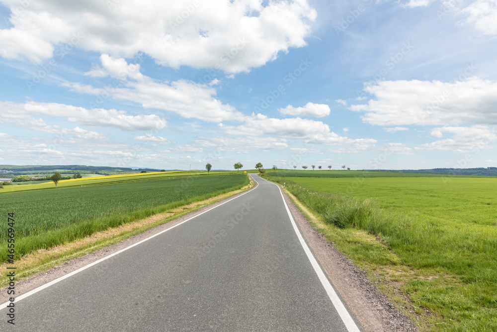 green and yellow fields with no people